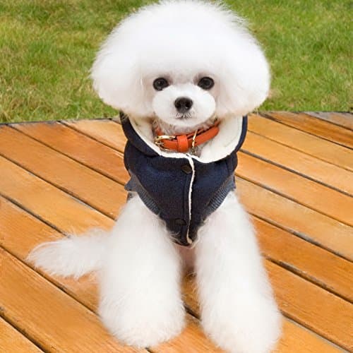 Selmai Manteau à capuche élégant pour petits chiens, vêtements pour chiens (Ce style est petit, veuillez choisir une taille plus grande)