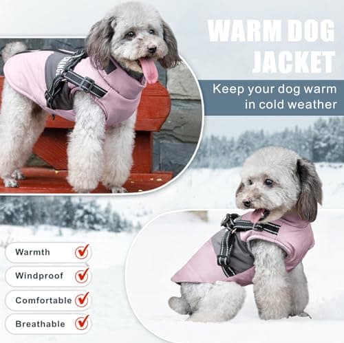 Oslueidy Vestes d'hiver pour Chiens, Manteaux Chauds pour Chiens Vêtements réfléchissants pour Chien Gilet imperméable pour Chiot avec Harnais pour Chiens de Petite et Moyenne Taille (Violet, XXL)