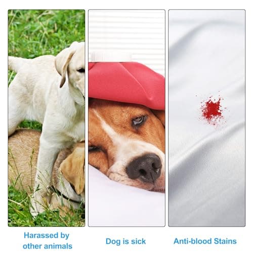 Magrimaxio Couche pour Chien Femelle, Culotte Chiennes, Lot de 3 Couches Chien Lavable avec 30 Serviettes Hygiéniques, Couche pour Chiennes en Chaleur, Culotte Menstruelle pour Chien, Noir (L)