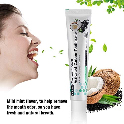 Vista Dentifrice Charbon 100% Naturel 1Pack Charbon Blanchiment Des Dents Sans Fluor Professionnel, Anti Tartre Dentifrice Bio