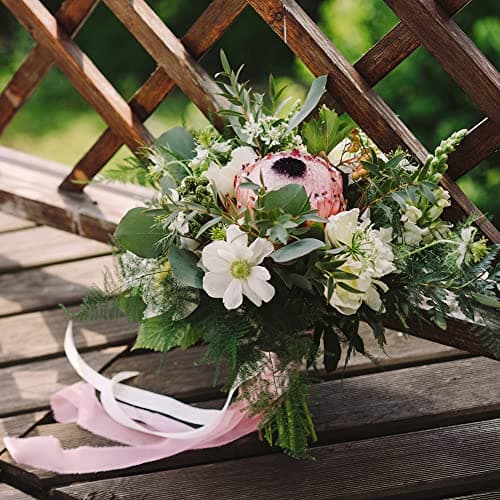 AOKSUNOVA Ruban Cadeau Large pour Mariage en Mousseline de Soie pour bricoler Champagne