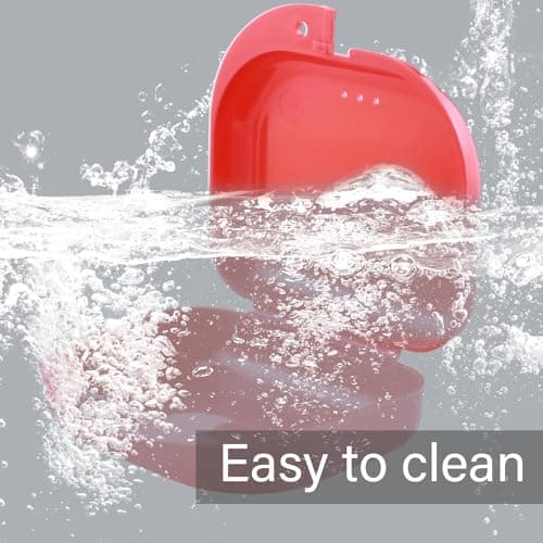 6 Pcs Boite appareil dentaire, Boite a dentier,Boite gouttiere dentaire,Mince Boîtes de Dentier,Boîtes de Rangement pour Prothèse Dentaire,Pour Prothèses,Gouttières et Protecteurs Dentaires