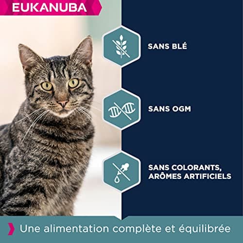 EUKANUBA - Croquettes Premium pour Chat Adulte - Alimentation 100% Complète et Equilibrée - Riche en Riz – Au Poulet Frais – Sans OGM, Sans Blé - Sac refermable – 10kg