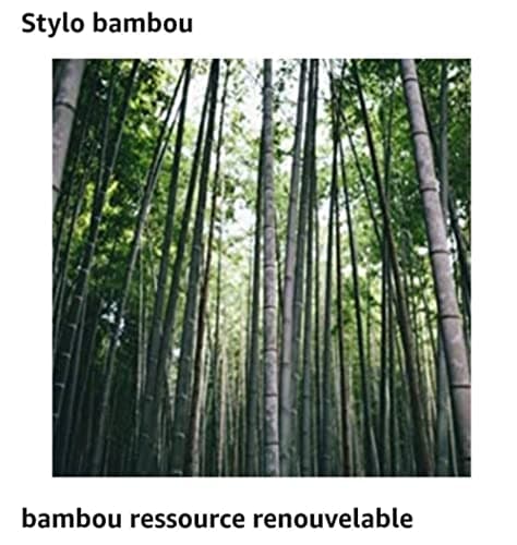 Stylo en bambou personnalisé + Coffret bois Personnalisé/Offrez un Cadeau Utile et Unique/Anniversaire/Gravure prénom