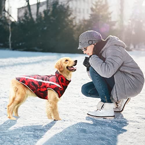 Idepet Manteau De Chat De Chat pour Animaux, Chaud Cavaliers De Chien d'hiver Petit Moyen Grand Chien Vestes Gilet Windproof Snowsuit Chien Vêtements Outfit avec Harnais Trou