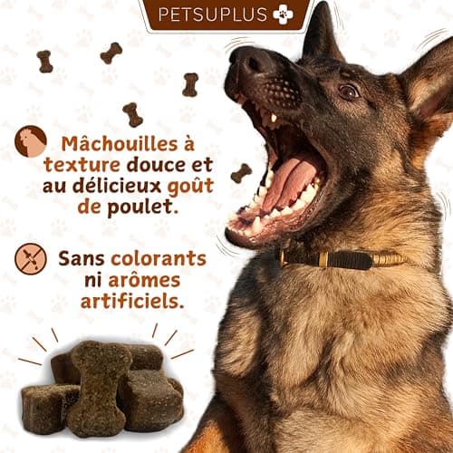 PETSUPLUS Complement Alimentaire Chien - Traitement Articulation Chiens - Chondroïtine, Glucosamine, MSM, Collagène, Acide Hyaluronique - Anti Arthrose & Douleur Articulatoires - 120 Comprimés