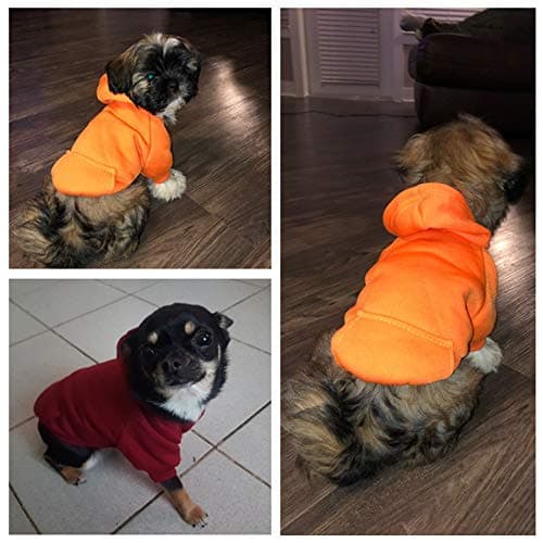 Idepet Sweat à Capuche pour Chat Vêtements pour Chien en Coton avec Manteau d'hiver et Poche extérieure