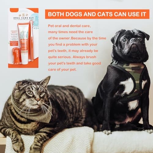 Brosse à Dents Et Dentifrice Pour Chien -Dentifrice à l'Arôme De Bœuf 75g, Brosse à Doigts Et Brosse à Dents à Poils Souples - Soins Dentaires Pour Chien Et Chat Contre La Mauvaise Haleine