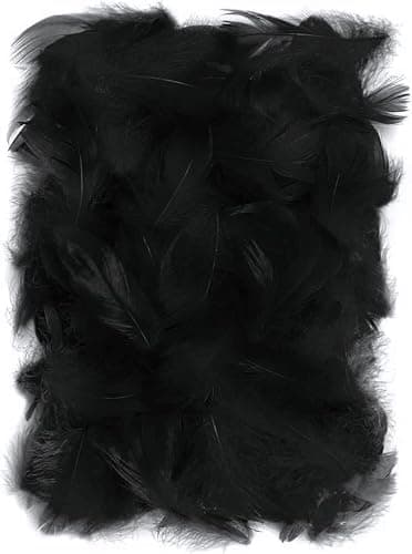 Netuno 150 plumes décoratives noires 10g plumes duveteuses décoratives plumes d'oiseaux plumes naturelles pour loisirs créatifs DIY bricolage décorations de fêtes attrape-rêves fabrication de masques