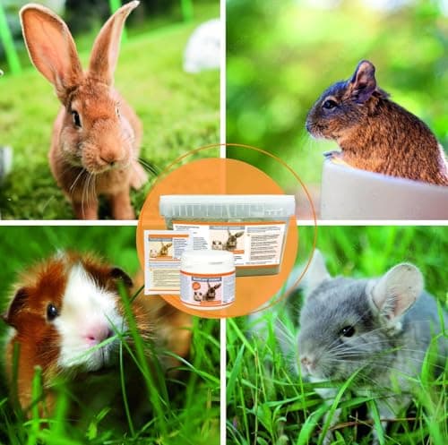 alfavet RodiCare instantané Aliment pour Petits Lapins Nains, cochons d'Inde et Petits rongeurs affaiblis et sans appétit, 2 kg de Poudre avec cuillère doseuse