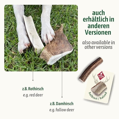 ChronoBalance® Bâtonnets L à mâcher en Bois de cerf pour Chiens: Jouet à mâcher Naturel, en Bois de cerf à 100%, favorisant l'hygiène Dentaire, Durable, sans Produits Chimiques.