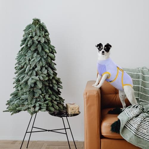 Kuoser Combinaison de récupération pour Chien pour Petite Moyenne Grande Taille, Protecteur de plaie Abdominale, maladie de la Peau de Chat, Chiot après Une opération chirurgicale
