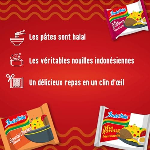 INDOMIE - Nouilles instantanées Mi Goreng - (1 X 80 GR) (L'emballage peut varier)