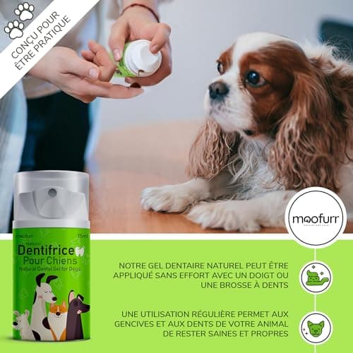 Moofurr Dentifrice Chien 75ml - Naturel Detartrage Dentaire Chien I anti Tartre I Dentifrice contre la Mauvaise Haleine Chien - Gel I Dentaire Chien avec Magnolia I sans saveur
