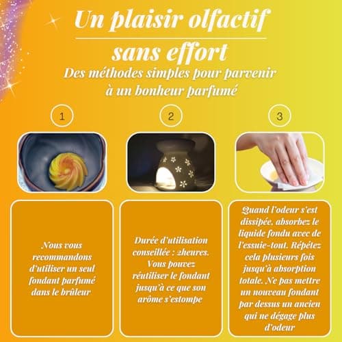 BOUGIE MAGIE - Fondant Parfumé pour Bruleur en Cire de Soja Naturelle Fait Main Parfumée - 6pcs/96 Grammes - Parfum Monoï Pêche - Coffret Cadeau