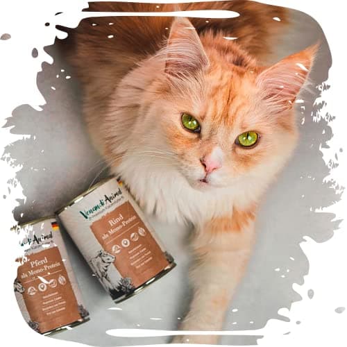 Venandi Animal Pâtée Premium pour Chats, Cheval Seule Source De Protéine, Pâtée, sans Céréales Et À L’état Naturel, Lot De 6 (6 x 400 g)