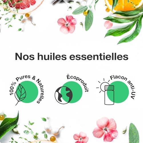Duo Huile Essentielle de Gaulthérie couchée 10 ml et Huile Végétale Neutre de Fleurs d'Arnica 100ml - 100% Pure et Naturelle - HEBBD - Application par Voie Cutanée - Parfum Stimulant - VOSHUILES
