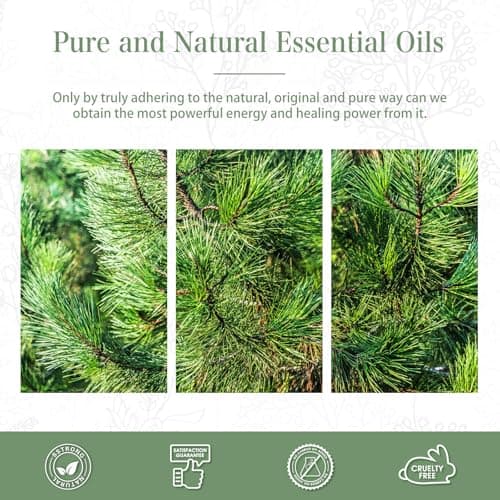 PHATOIL Huile Essentielle Pin 100 ml, Huile Essentielle pour Diffuseur Pure Naturelle, Huile d'Aiguilles de Sapin pour Aromathérapie Humidificateur, DIY