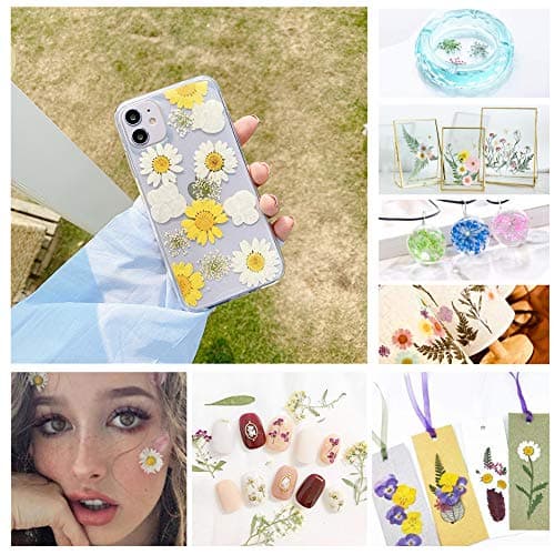 Lot de 65 véritables fleurs séchées pressées avec plusieurs pétales de fleurs séchées avec 5 marque-pages et pince à épiler pour la fabrication de bougies, loisirs créatifs, bijoux en résine, nail art