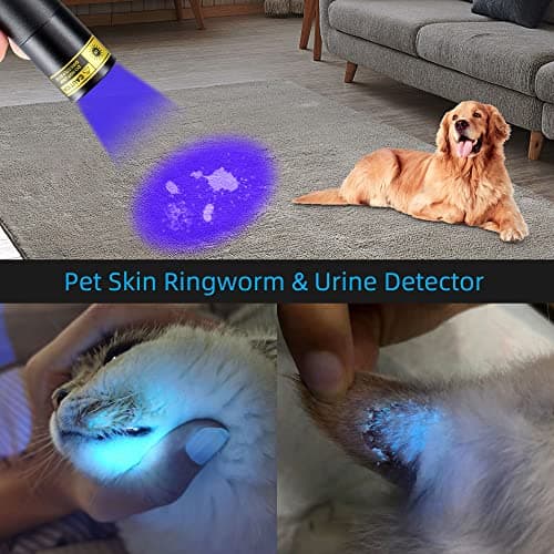 DARKDAWN UV 365nm Lampe Torche Lumière Noire, Mini USB Rechargeable, Lampe de Wood Portable LED Ultraviolet 370nm - Détecteur d'urine Chat, Taches, Billet, Ambre, Uranium, Détection de Fuites