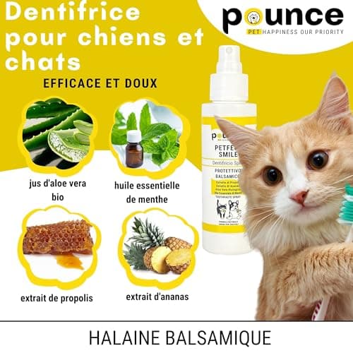Dentifrice Chien Et Chat Spray 100ml 95% Naturel - Hygiène Buccale Supérieure Sans Rinçage, Effet Anti-Tartre Et Haleine Fraîche, Avec Propolis + Ananas + Menthe, Qualité Italienne