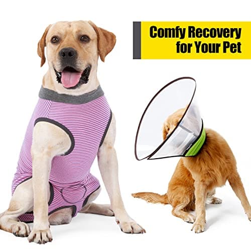 HEYWEAN Body Chien Post operatoire Femelle Combinaison Chien sterilisation Body pour Chien Castration Male Body Medical Déguisements pour Chiens alternatives aux Collerettes pour Chiens