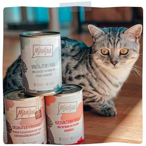 MjAMjAM - Premium Nourriture Humide pour Chats - Quetschie - Poulet délicat au potiron cuit à la Vapeur, Paquet de 12 (12 x 125 g), sans céréales avec Extra Viande