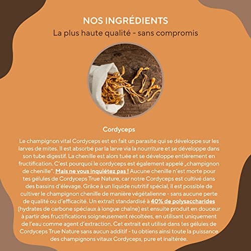 Champignon Cordyceps Sinensis - 6.500mg de CS-4 (10:1) - 270 Gélules - Bien-Être & Performance Sportive - 40% de Polysaccharides Bioactifs - Vegan - Sans: Additifs, Gluten & Lactose - TRUE NATURE