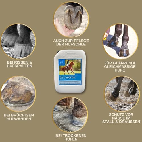 Huile pour sabots chevaux bidon d'huile 2,5L Baume pour sabots - Graisse I Soin des sabots & de la fourchette I Contre les sabots secs I Soin I Pommade I Flacon pinceau - croissance rapide des sabots