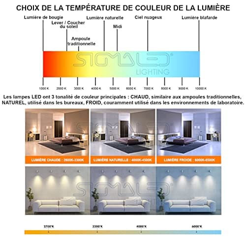 Sigmaled lighting, Plafonnier LED 10W avec DÉTECTEUR de mouvement pour extérieur, Étanche IP54, Blanc Chaud 3000K, 900 Lm, Applique OVALE, Éclairage mural