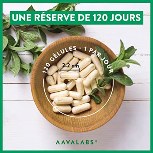 Multivitamines et Minéraux -13 Vitamines Adultes dont Vitamine A B C D E K, Ashwagandha, Rhodiola Rosea, 11minéraux dont Magnesium, Zinc - Complement Alimentaire Multivitamines Homme Femme 120Capsules