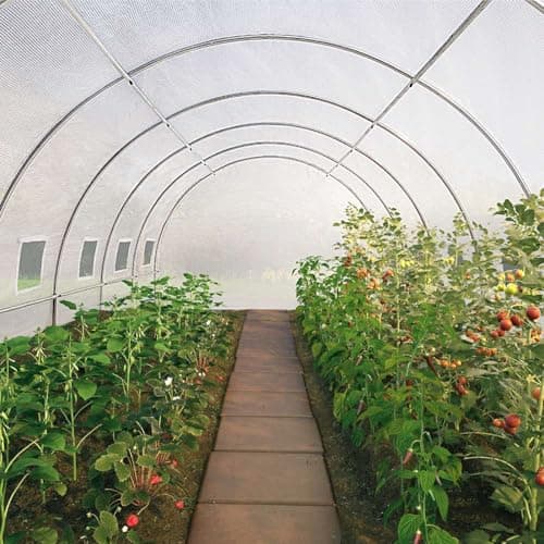 OSE Bâche pour Serre Tunnel Blanche Transparente 6 m2