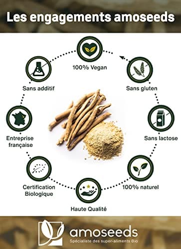 Ashwagandha en Poudre Bio 500G | Ginseng Indien | Stress, Sommeil, Adaptogène | Poudre de Racine 100% Pure d'Ashwagandha (Withania Somnifera) Biologique (Ginseng indien), Qualité Supérieure