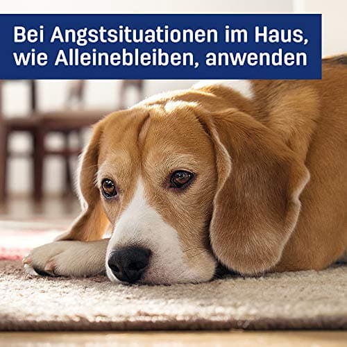 ADAPTIL Calm – Anti-stress pour chien – Diffuseur + Recharge 48 ml
