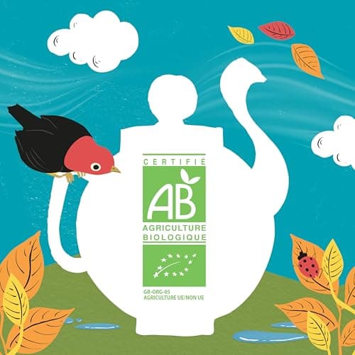 CLIPPER - Infusion Bio - Thym, Citron et Miel - 20 Sachets d'Infusion - 1 Paquet