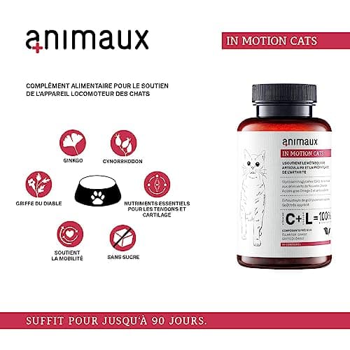 animaux Comprimés pour articulations pour Chats - 90 comprimés à mâcher - soutient Les articulations & Les os - Complément avec Moule Verte, Griffe du Diable & écorce de Saule in Motion Cats