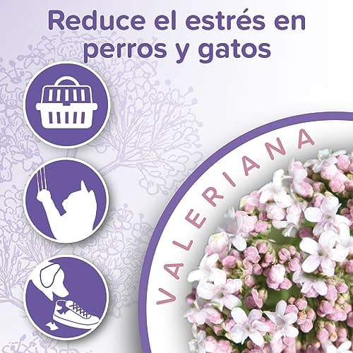Beaphar – NO Stress – Spray calmant à la Valériane pour Chat – Réduit Le Stress et Les problèmes comportementaux sans dépendance ni Somnolence – Flacon 125 ML – 5 Heures d'action