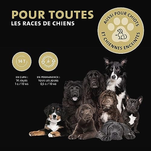 Peticare vermifuge poudre pour chiens | Cure contre les vers efficace à base de plantes | préventif & aigu | Remède comme complément alimentaire avec des ingrédients 100% naturels | petDog Health 2605