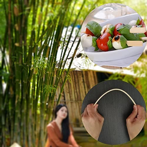 VIVIIHOO 100 bâtonnets d'amuse-Bouche brochettes de Bambou brochettes de Bambou grillades collations de Fruits bâtonnets de Dessert (15 cm)