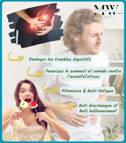 Tisane Magique 300g + boule infuseur cadeau | infusion allaitement bébé | Digestion difficile | règles douloureuses | lactation colique graine fenugrec fenouil carvi Verveine caroube vrac future maman