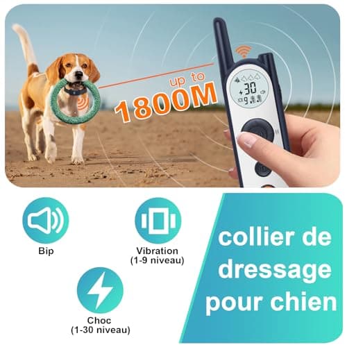 Clôture Électronique pour Chien,8M à 1050M Ajustable Clôture avec Télécommande de Dressage,Résistant à L’Eau Collier de Dressage pour Chiens de Moyennes et Grandes