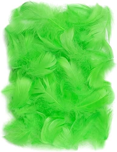 Netuno 150 Plumes décoratives Vertes 10g Plumes duveteuses décoratives Plumes d'oiseaux Plumes Naturelles pour Loisirs créatifs DIY Bricolage décorations de fêtes Attrape-rêves Fabrication de Masques