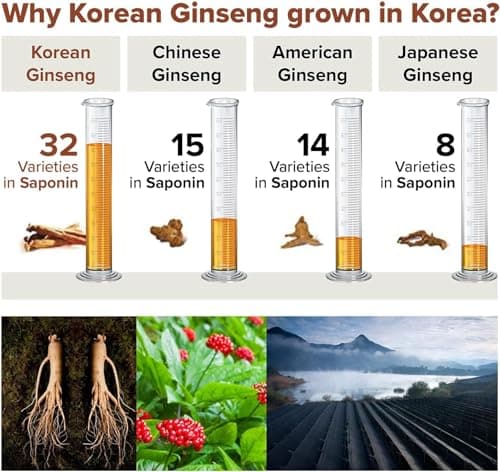 [BTGIN] Authentiques capsules de ginseng Coreen enrichies en Rg3 par fermentation d’enzyme – 100% poudre 18000mg - The Root Original