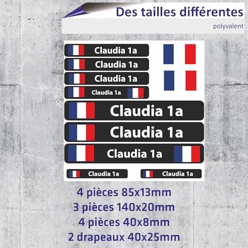 INDIGOS UG® Lot de 13 Autocollants pour nom - Drapeau Lisse - Brésil - 13 Autocollants pour Drapeau - avec nom & Texte souhaité - Vélo, Voiture, Moto, personnalisé