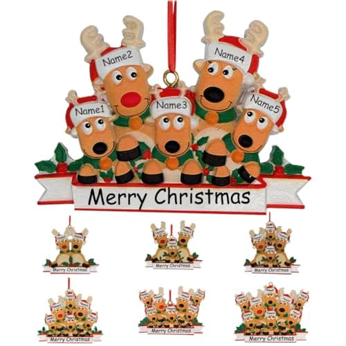 WERWAES Decoration Noel Sapin Personnalisable Boule de Noel Personnalisée 2024 Decorations Noel Famille 2,3,4,5,6,7,8 Idee Cadeau Noel