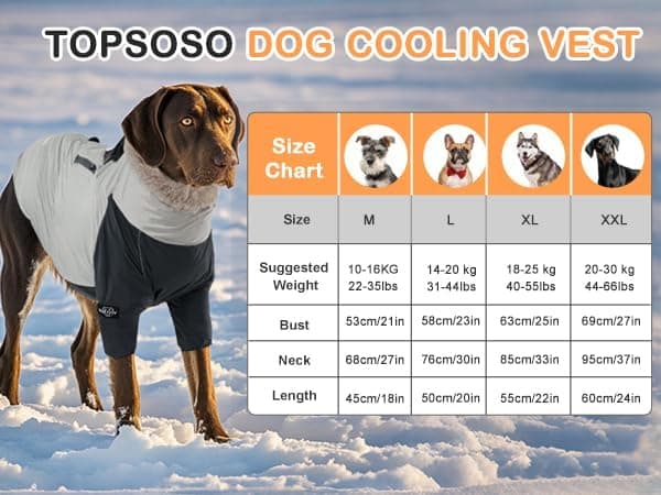 Chaqueta de invierno pour chiens avec doublure en cachemire, imperméable avec veste de pluie, poches zippées pour chiens, bandes réfléchissantes, cordon réglable, D-Ring pour laisse de chien