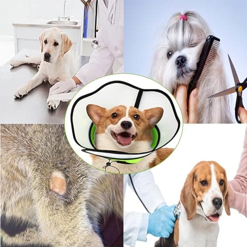 YUEMING Collerette pour Chien, Anti-Morsure Protection Cône Collerettes pour Chien Chat de Chiot, Protecteur de Cône de Cou Réglable pour Chiens Récupération après Chirurgie et Blessures(XL)