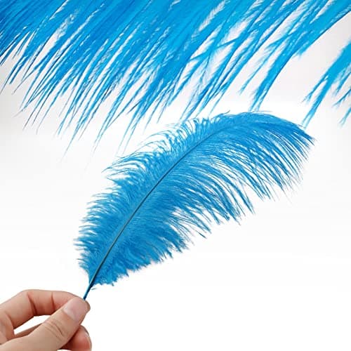 Mwoot 10pcs Naturelles Plumes d’Autruche, Ostrich Feathers Plume 25-30CM pour Les Chapeaux, Maison, Mariage fête Décoration (Bleu)