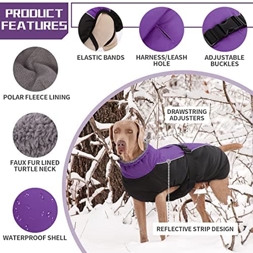 Manteau d'hiver pour Chien, Veste ImperméAble pour Chien, Veste d'hiver Chaude avec Doublure en Polaire, Manteau RéFlecteur Ajustable Et Confortable avec Trou pour Harnais pour Petits Et Moyens Chien
