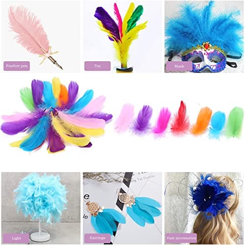 Plumes Couleur,300 PCS Plume Loisirs Creatifs Naturelles Décorations Plumes pour Bricolage Capteurs de Rêves Chapeaux Costume Fête à la Maison Décorations Mariage 8-12CM